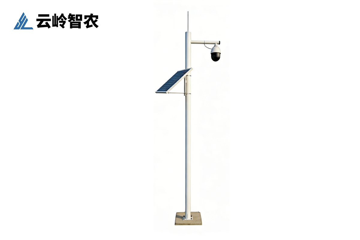 苗情实时监测站