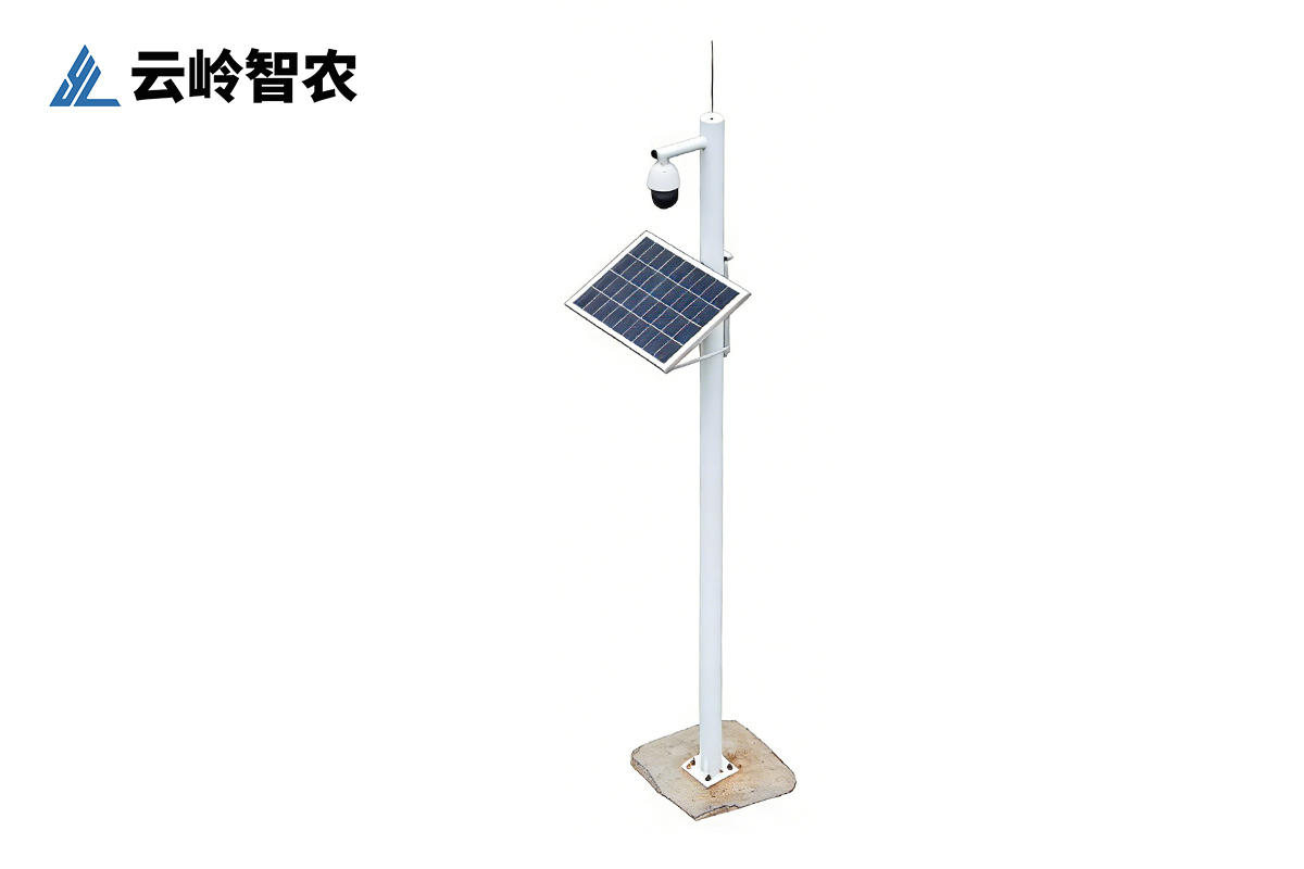 苗情实时监测站