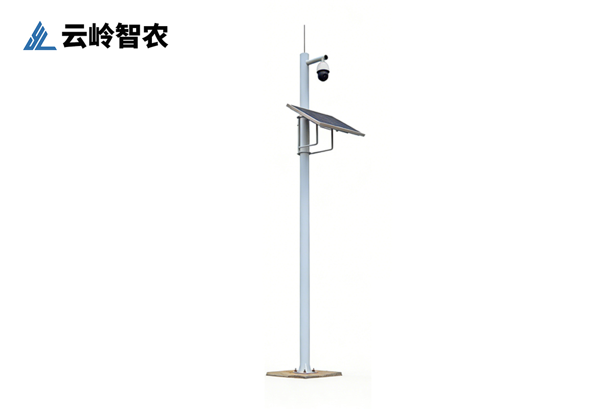 苗情实时监测站