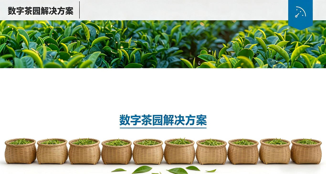 数字茶园综合解决方案