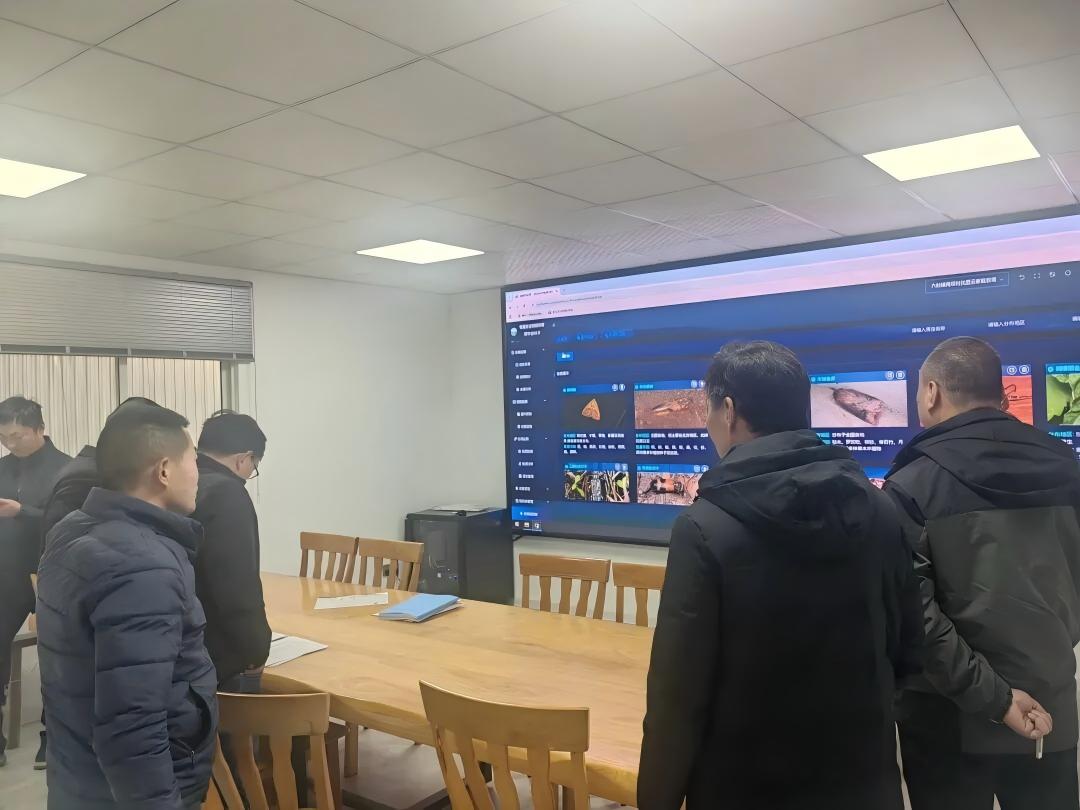 湾沚区再生稻示范基地数字化建设项目