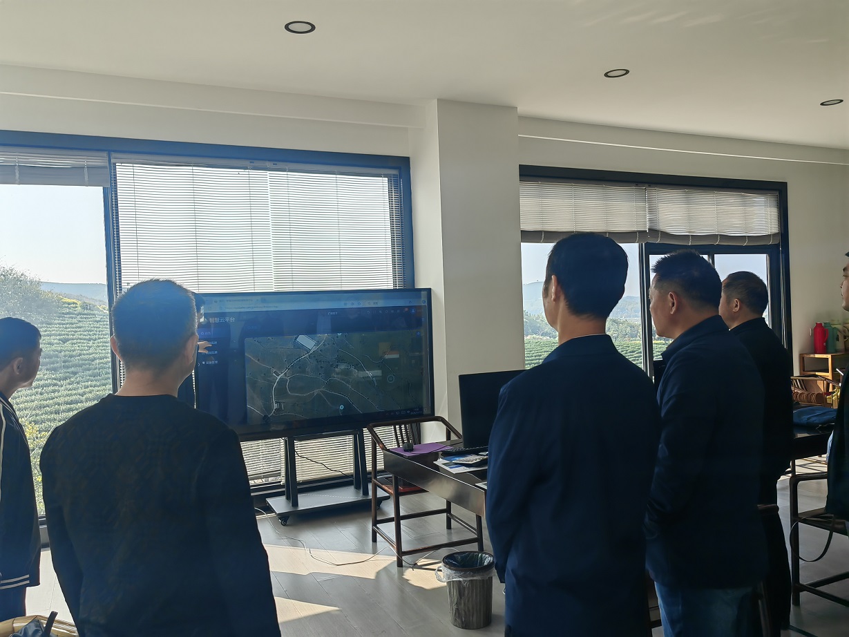 广德市黄金芽核心产区数字茶园项目